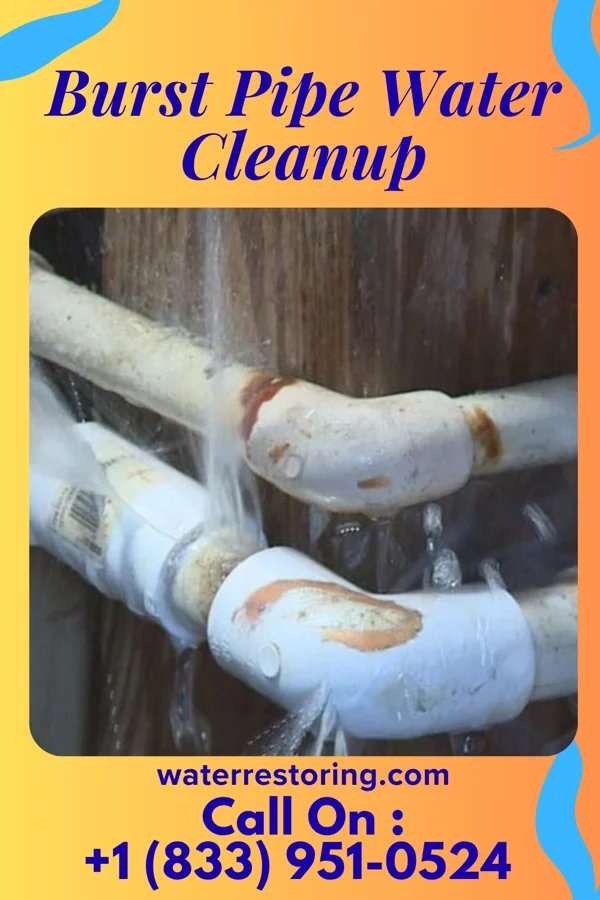 Burst Pipe Water Cleanup in Friesville, PA