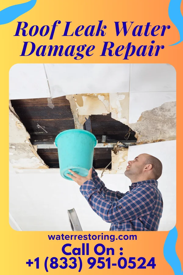 Roof Leak Water Damage Repair in Friesville, PA