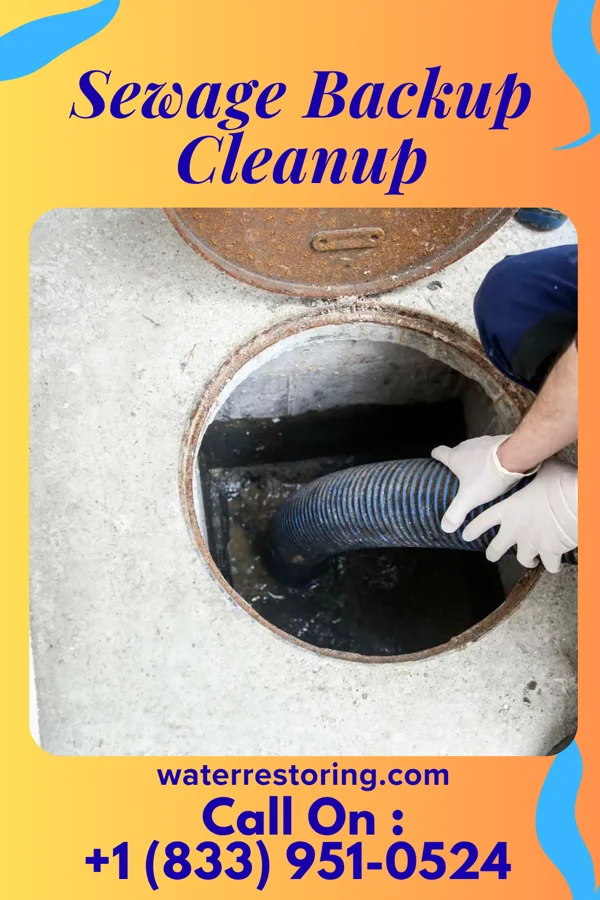 Sewage Backup Cleanup in Friesville, PA