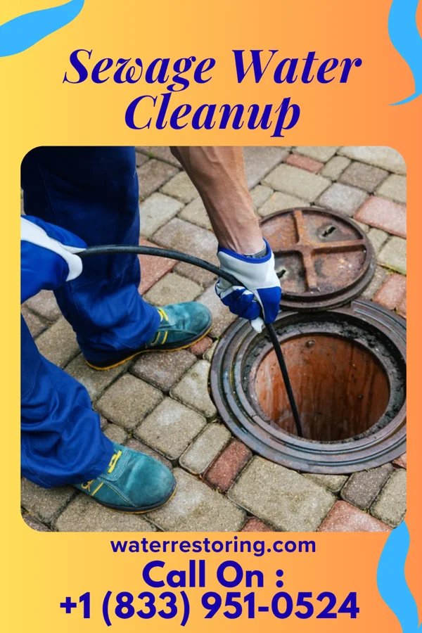 Sewage Water Cleanup in Friesville, PA