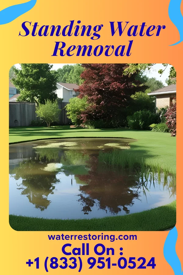 Standing Water Removal in Friesville, PA